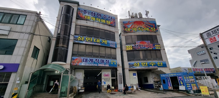 킹크랩과 대게사이 킹크랩과 대게사이