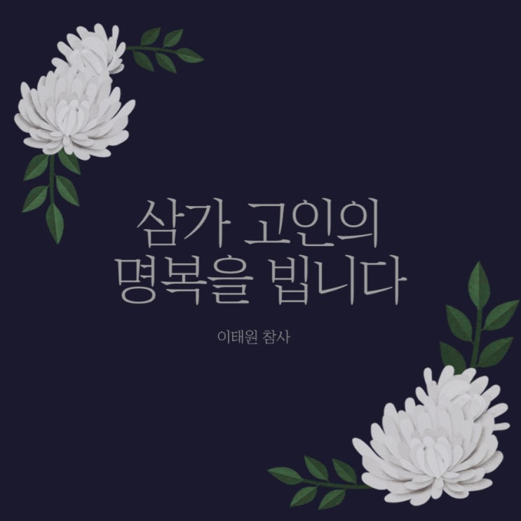  이태원참사 삼가 고인의 명복을 빕니다