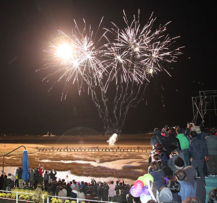  2022 강진만 춤추는 갈대축제 기본정보 | 일정표/행사/셔틀버스, 강진만생태공원(강진 갈대축제)