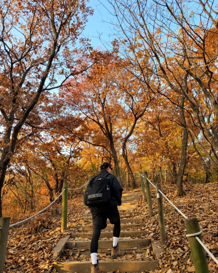  가을가을한 주간일기