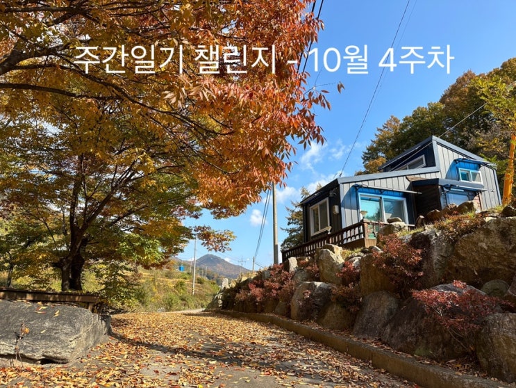  아이폰. 그리고 단풍놀이