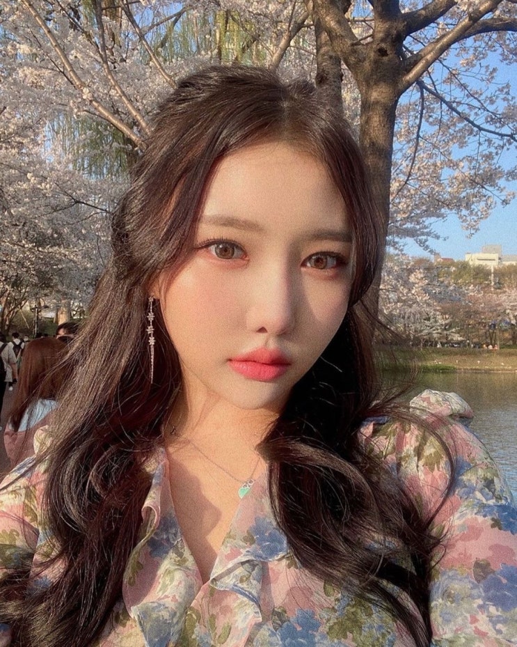 '이태원 참사 증언' 유튜버 선여정, "야! 밀어~" 참혹했던 당시 현장 상황 털어놔 "이대로 죽겠구나 생각" '이태원 참사 증언' 유튜버 선여정, "야! 밀어~" 참혹했던 당시 현장 상황 털어놔 "이대로 죽겠구나 생각"