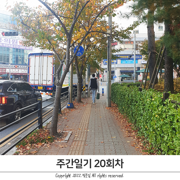 주간일기 20회차 : 누칼협? 주간일기 20회차 : 누칼협?