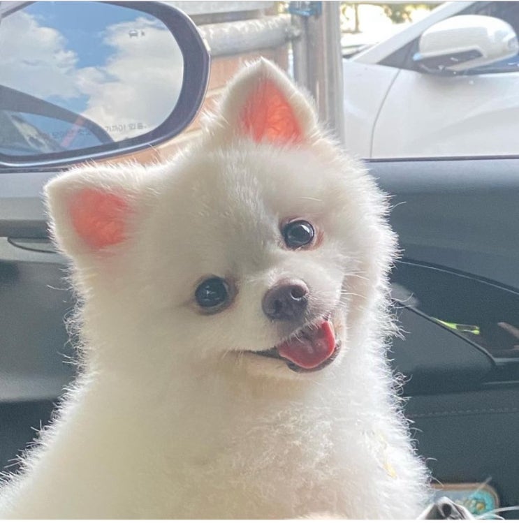  [룩또] 이번주 1039회 로또당첨번호 조회