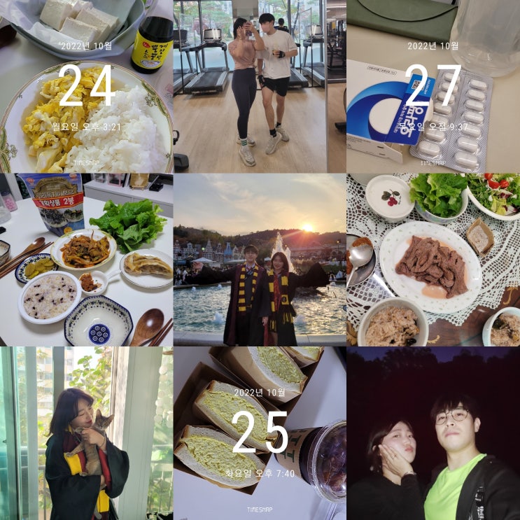  주간일기 22년 10월 마지막주  기록