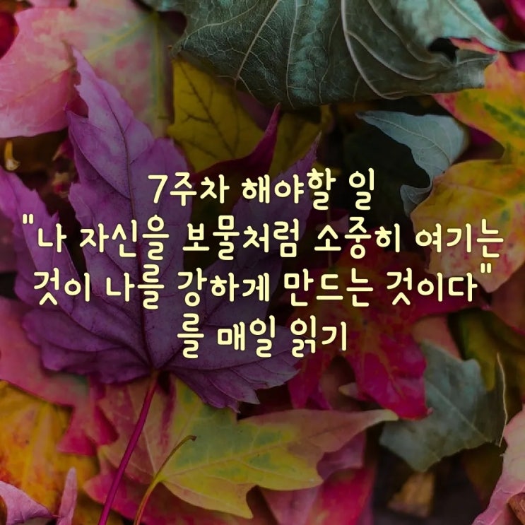  아티스트웨이 와 함께 시작하는 아침 루틴. 주말 일상 모닝페이지