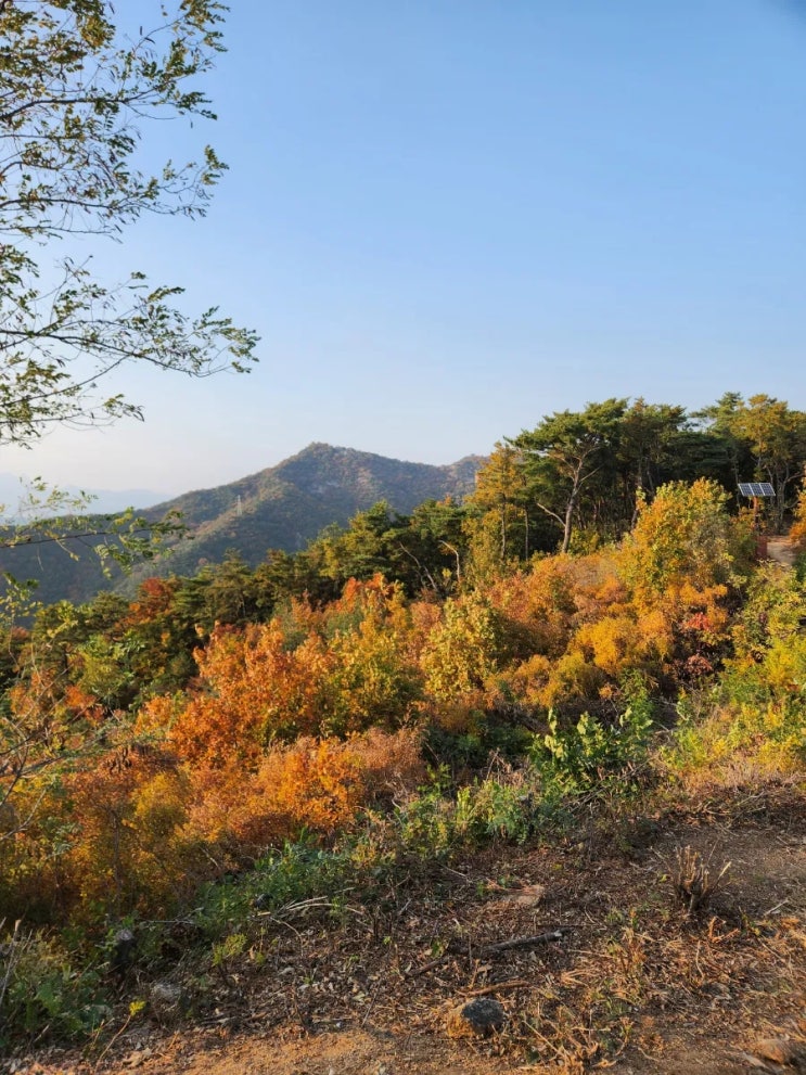 서울 가볼 만한 곳 서울 둘레길 아차산 등산 코스 서울 가볼 만한 곳 서울 둘레길 아차산 등산 코스