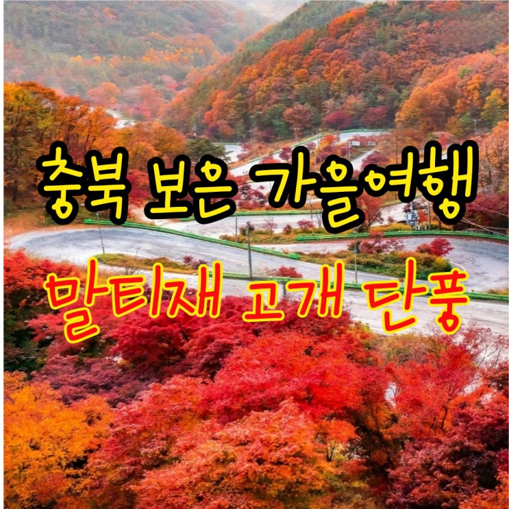 말티재 단풍 명소 충북 보은 여행 ㅣ 전망대 포토존 가을 풍경 장관