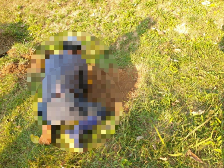  2022년 김천시 부항면 비석 자판설치 고인돌장묘개발 #비석 #자판 #이하늘장사 #윤달 #장의사 #구미장의사 #김천장의사 #선산장의사 #상주장의사 #문경장의사 #영동장의사 #이장