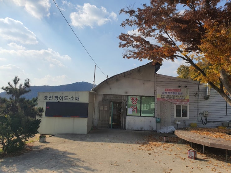  용인 송전장어직판장