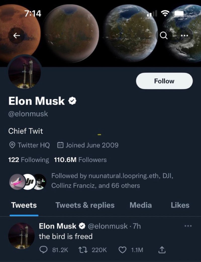 단편투자생각] 일론머스크의 트위터 인수 이후 짤과 사진 모음( 도지코인과 트위터의 미래는? ) : 네이버 블로그