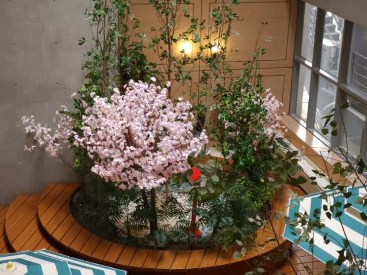  천안 리즈앤마리안 산부인과 제왕절개 수술 후기 - 수술 당일 과정 상세하게 알려드림(페인 부스터 꼭 하세요!!)입원실 사진있음- (2)