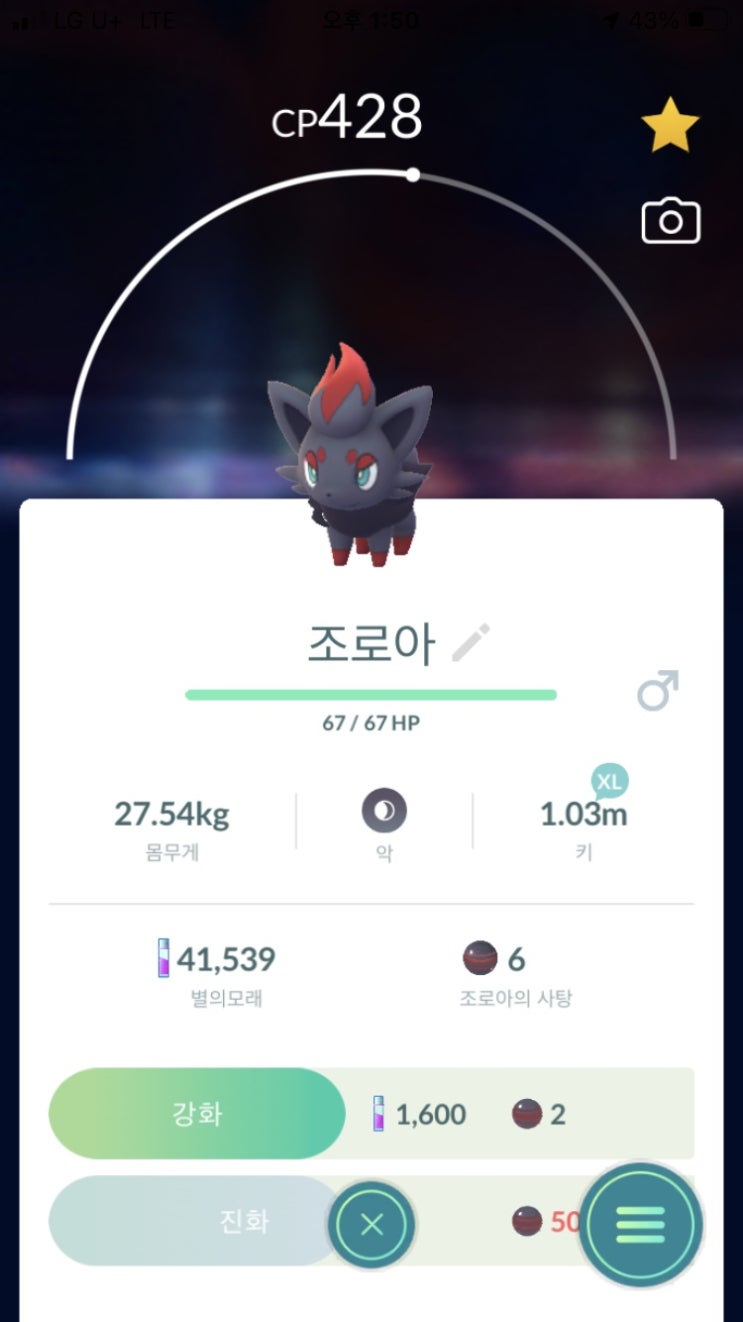  조로아