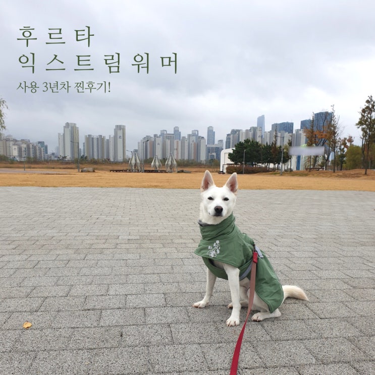 후르타 익스트림 워머 : 가성비 없는 진돗개 패딩 후르타 익스트림 워머 : 가성비 없는 진돗개 패딩