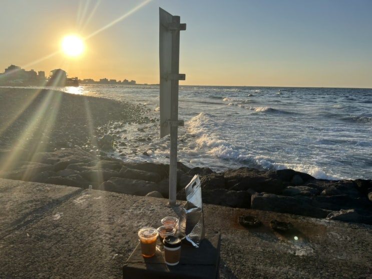  제주 그리고 서울