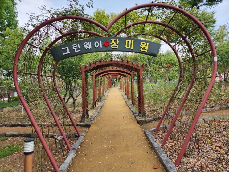  대구 도심 속 힐링공간 중리동 그린웨이 근린공원