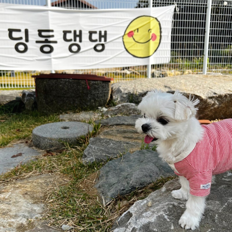 딩동댕댕