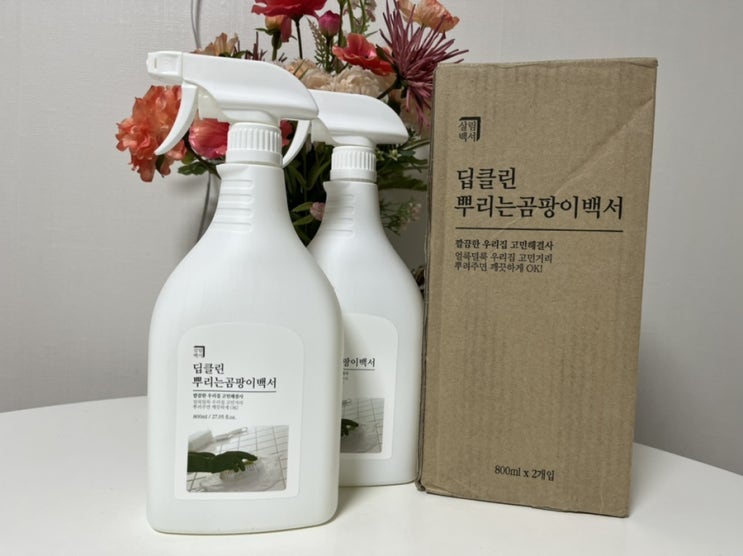 살림백서 딥클린 곰팡이제거제로 벽 곰팡이 제거했어요! 살림백서 딥클린 곰팡이제거제로 벽 곰팡이 제거했어요!