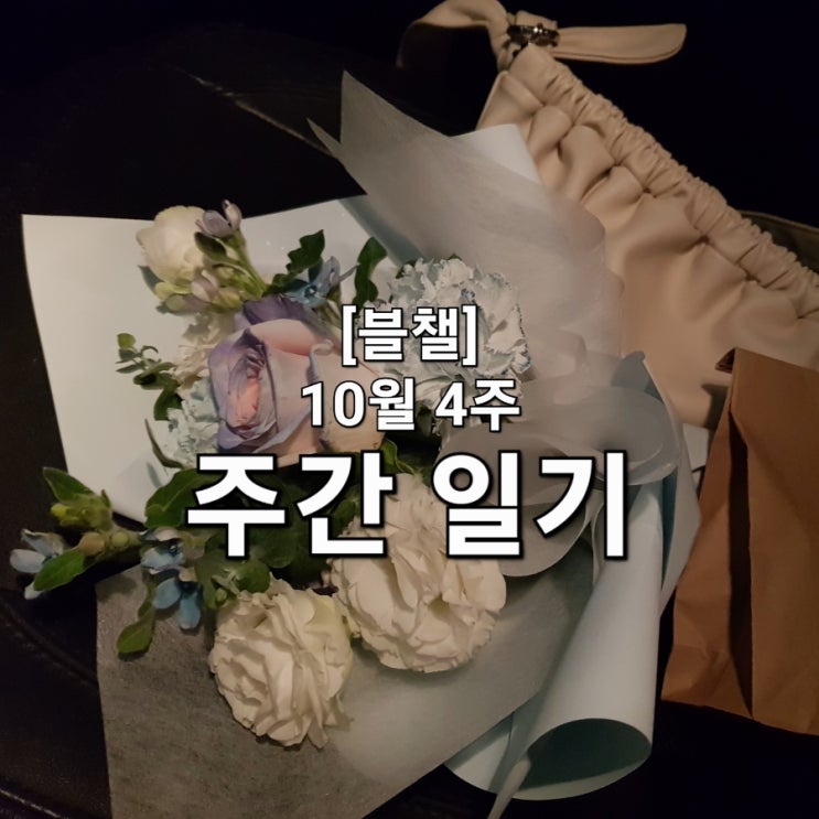  [블챌] 가을 단풍 / 생일 선물 / 펜션 / 갤럭시S22울트라 / 먹부림