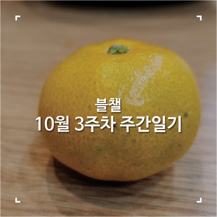  [블챌]맛집 탐방하다 지나간 10월 3주 차 주간 일기