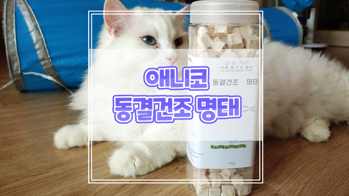  무염이라서 더 건강한 고양이 간식 애니코 동결건조 명태