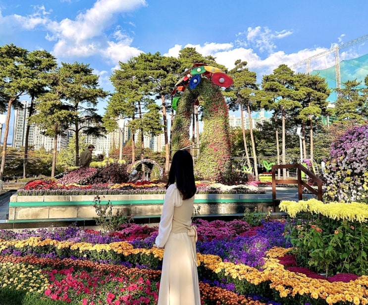 유엔평화공원 국화축제 보며 가을축제 나들이