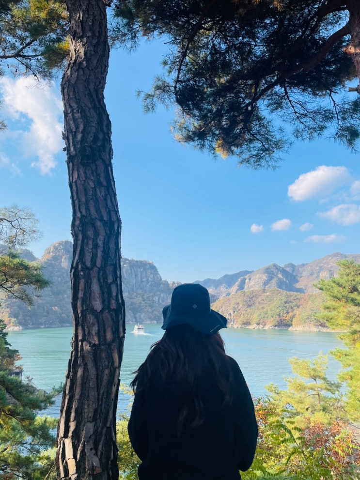 단양 카페산, 단풍보기 좋은 카페 추천, 청풍호 유람선