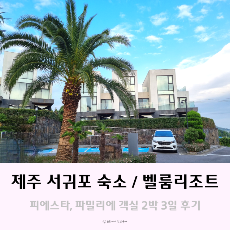 제주 서귀포 숙소 벨룸리조트 2박 3일 후기 제주 서귀포 숙소 벨룸리조트 2박 3일 후기