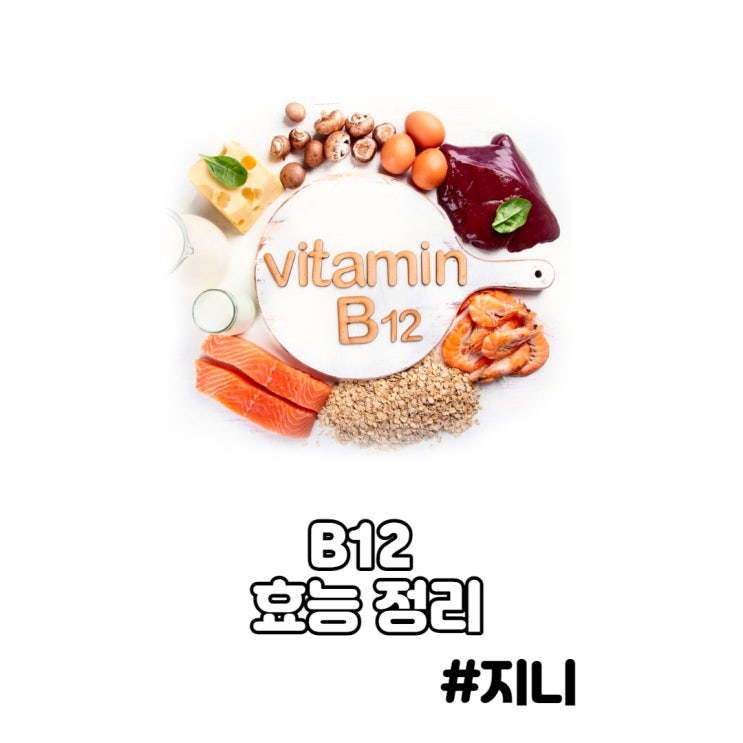 B12(코발라민) - 피로회복, 임신 B12(코발라민) - 피로회복, 임신