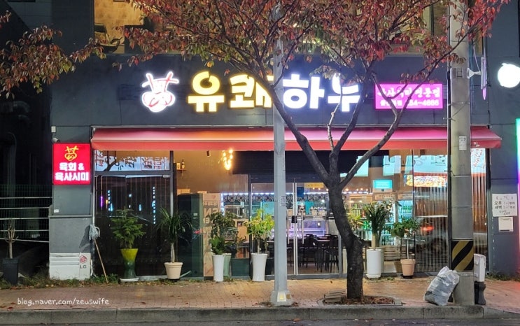  소문난 언양 육회 맛집 유쾌하누울산본점 인생 샷도 건져가는 곳!!