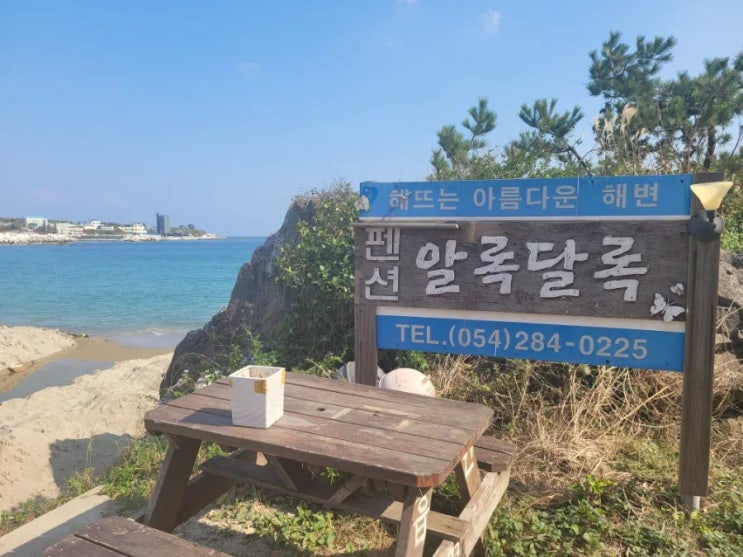  [포항 구룡포] 알록달록비치펜션 - 애견동반 가능