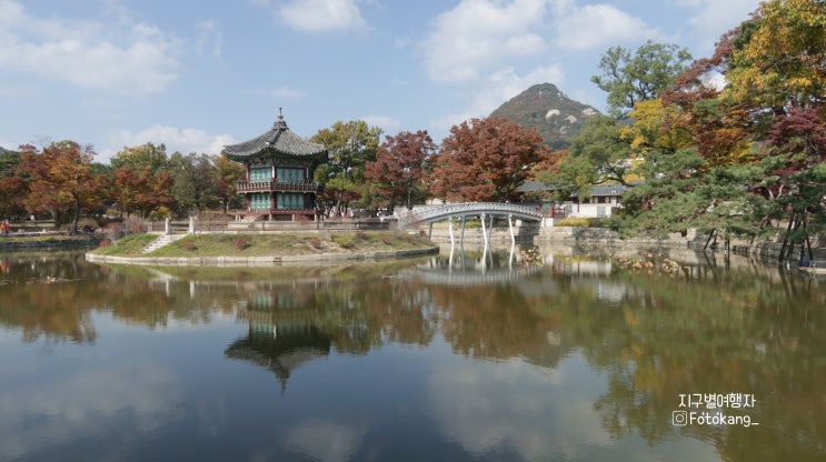  가을을 가득 담은 주간일기  / 경복궁과 성균관대학교 명륜당의 가을 / 그리고 홍콩행 비행기표도 샀다  (feat.관통사)