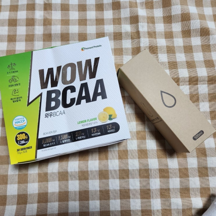  단백질 아미노산 보충 BCAA