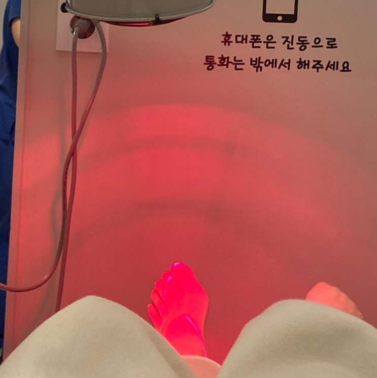  주간일기 챌린지(19)