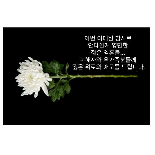  10월 나의 주간 일기 10월 30일 가을이다!