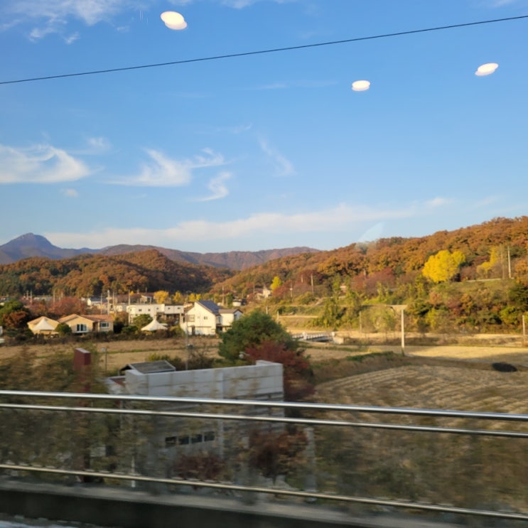  블로그챌린지_Week 20