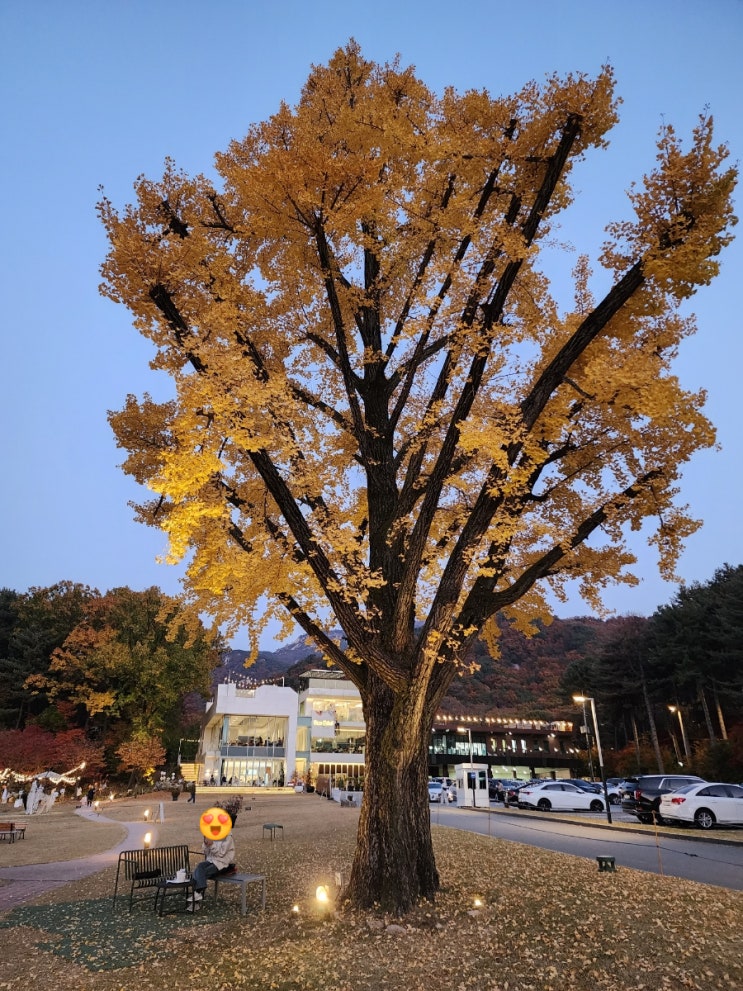 의정부 대형 카페겸 레스토랑 : 파크프리베 (단풍 너무 이쁘다!!!)