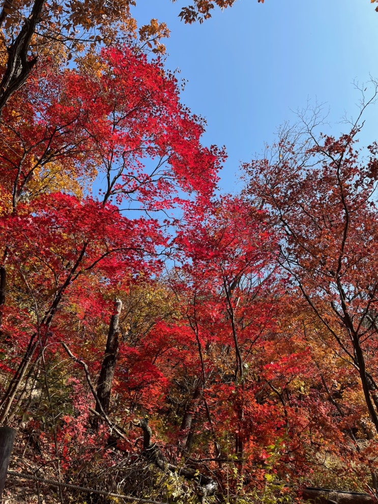  북한산 등반 후기