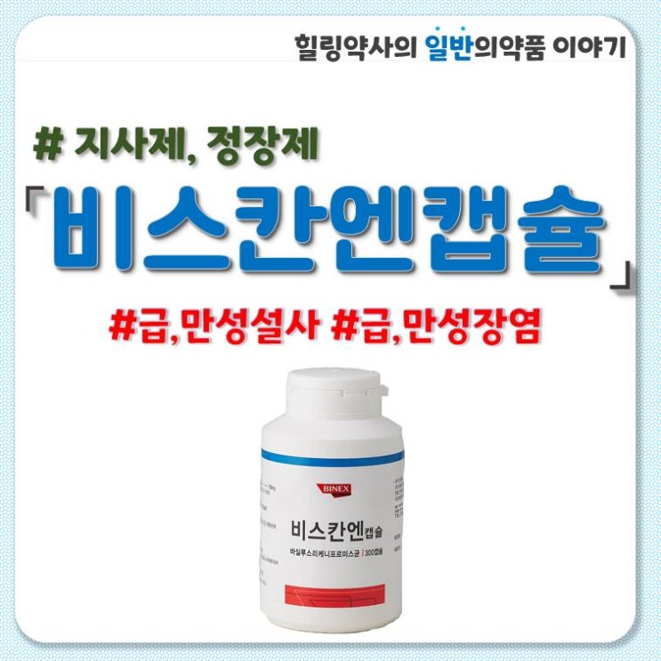  [비스칸엔캡슐]비스칸엔산 지사제 정장제 프로바이오틱스 유산균 복용법 효능 부작용 주의사항