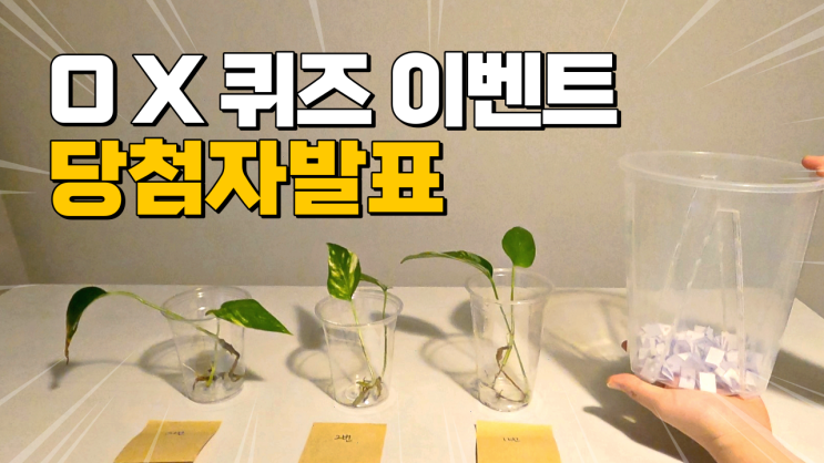 [이벤트결과] 식초부부 구독자 식물 나눔이벤트 당첨자 발표!