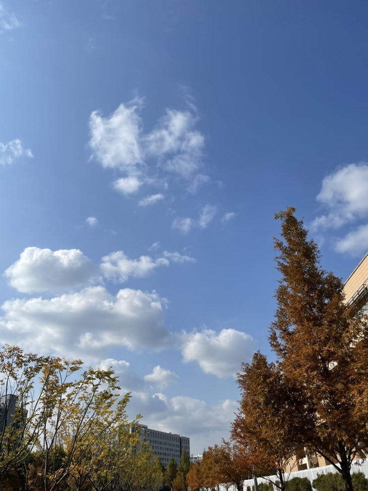  [주간일기] Pray for ITAEWON