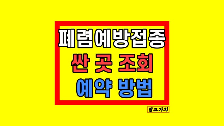 폐렴예방접종 예약 : 가격 대상 간격 10가 13가 23가 정리