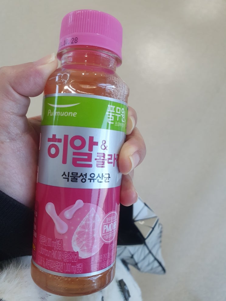  특허유산균 풀무원 프로바이오틱  히알&콜라겐