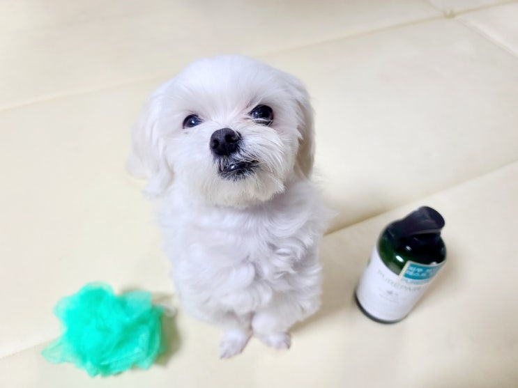  강아지 피부건강을 위한 저자극 퓨리페어 애견샴푸