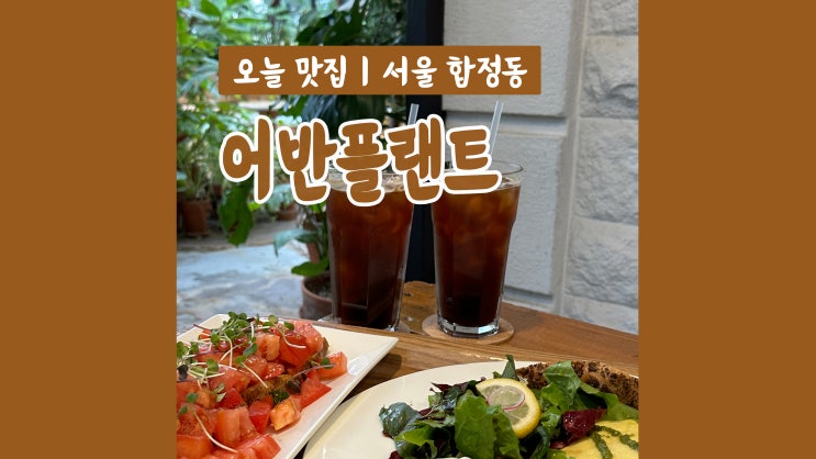 합정 카페 어반플랜트 싱그러운 식물이 가득 합정 카페 어반플랜트 싱그러운 식물이 가득