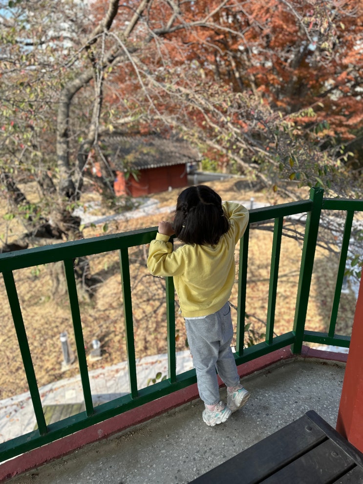  당진 기지시 근린공원(국수봉)에서 가을낙엽 밟으며 강아지랑 산책하기!