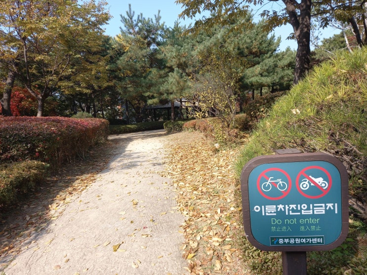  서울시 중구 백범광장공원에 가서 산책한 뒤 사진을 올립니다.