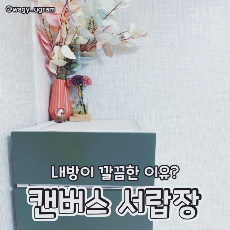  더채움 캔버스 5단 플라스틱 서랍장 리뷰