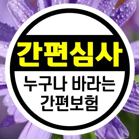  누구나 바라는 간편심사보험 추천 상품을 알아보았다.