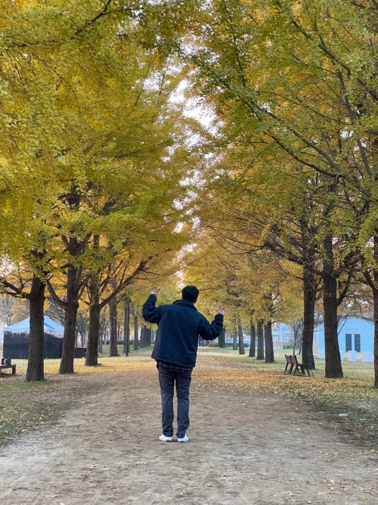  [주간일기] 11월 1주차 가을나들이
